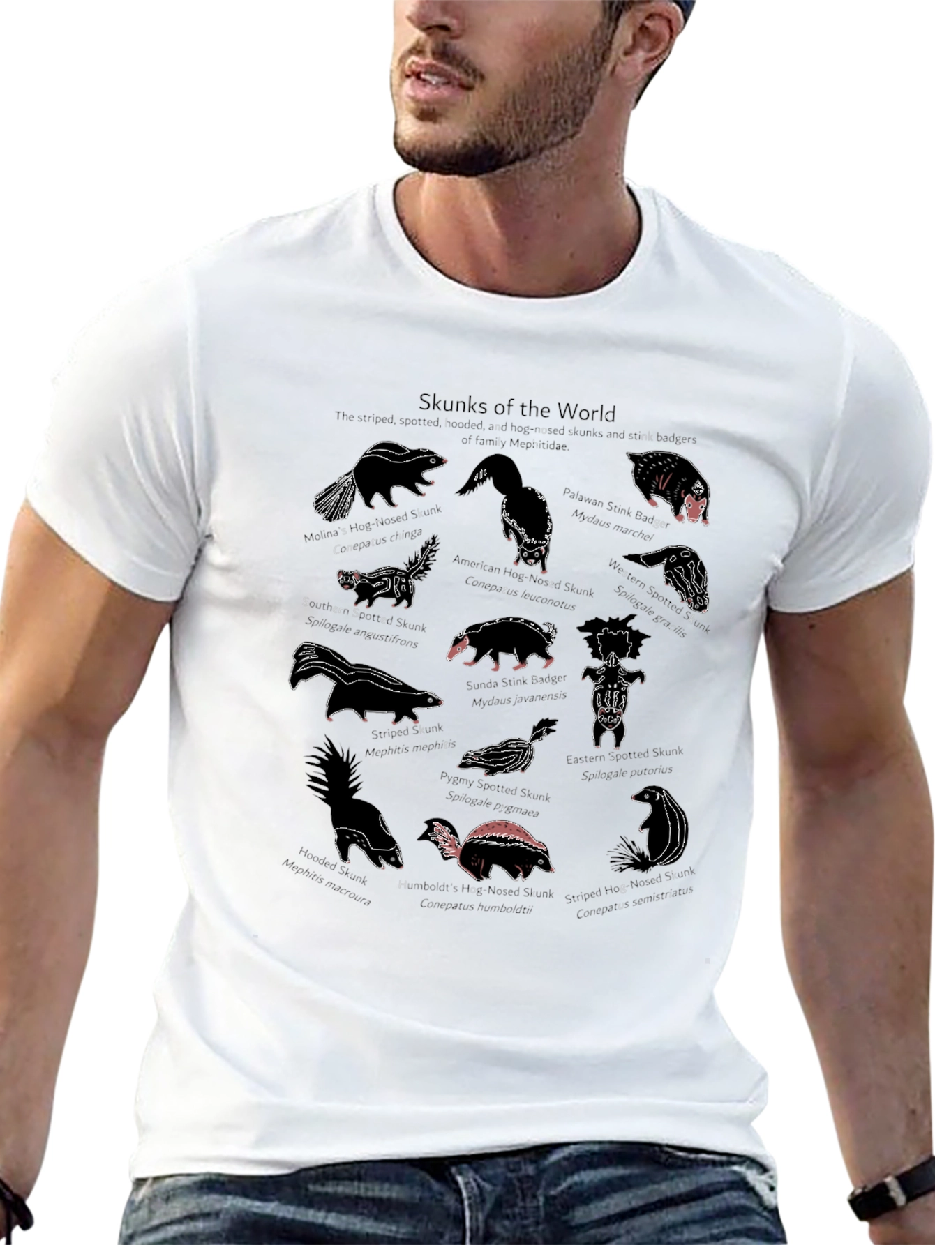 Skunks of the World Graphic T-Shirt