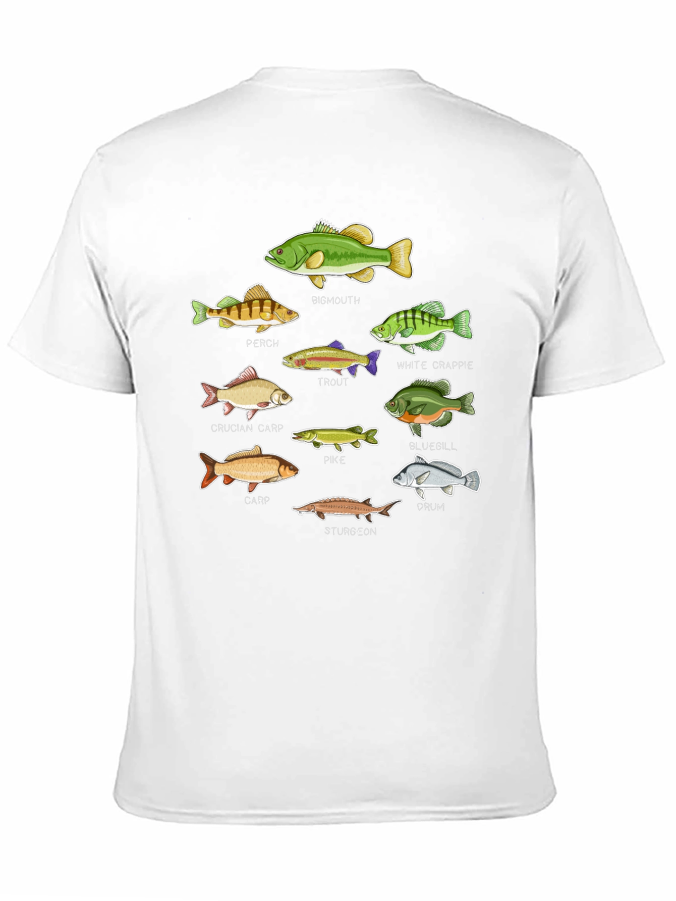 Fish Species Graphic T-Shirt