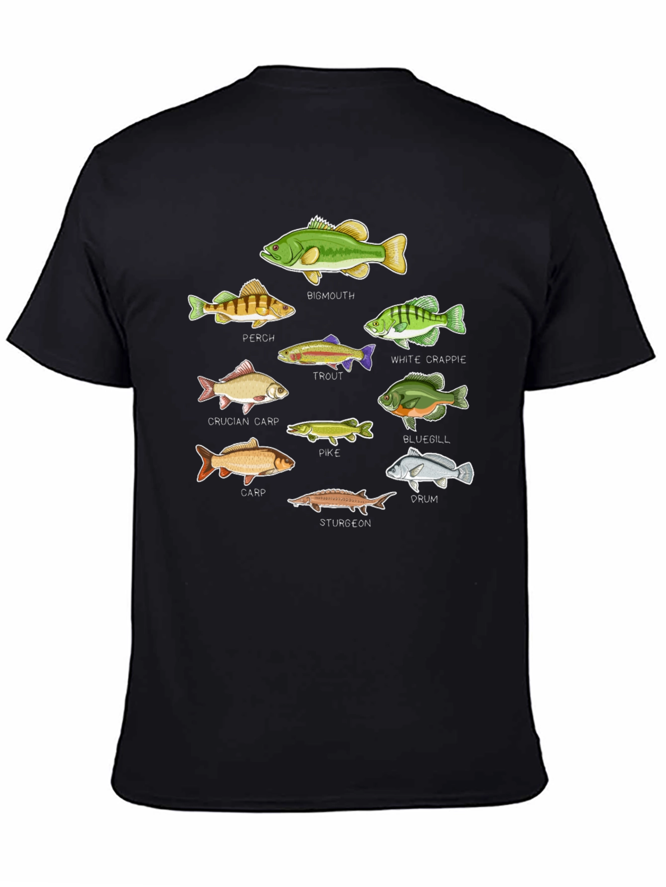 Fish Species Graphic T-Shirt