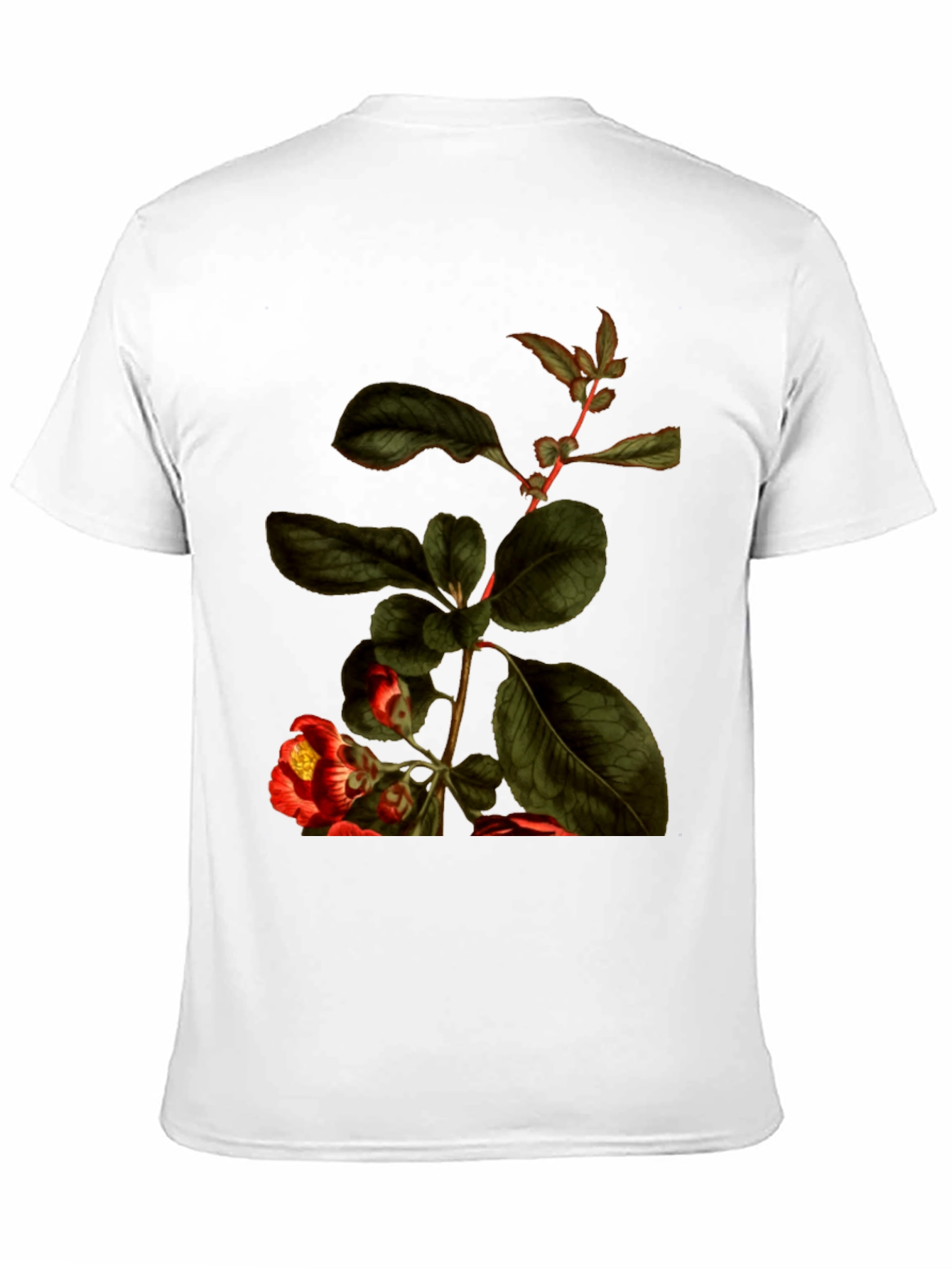 Botanical Print Black T-Shirt - Nature Inspired Tee