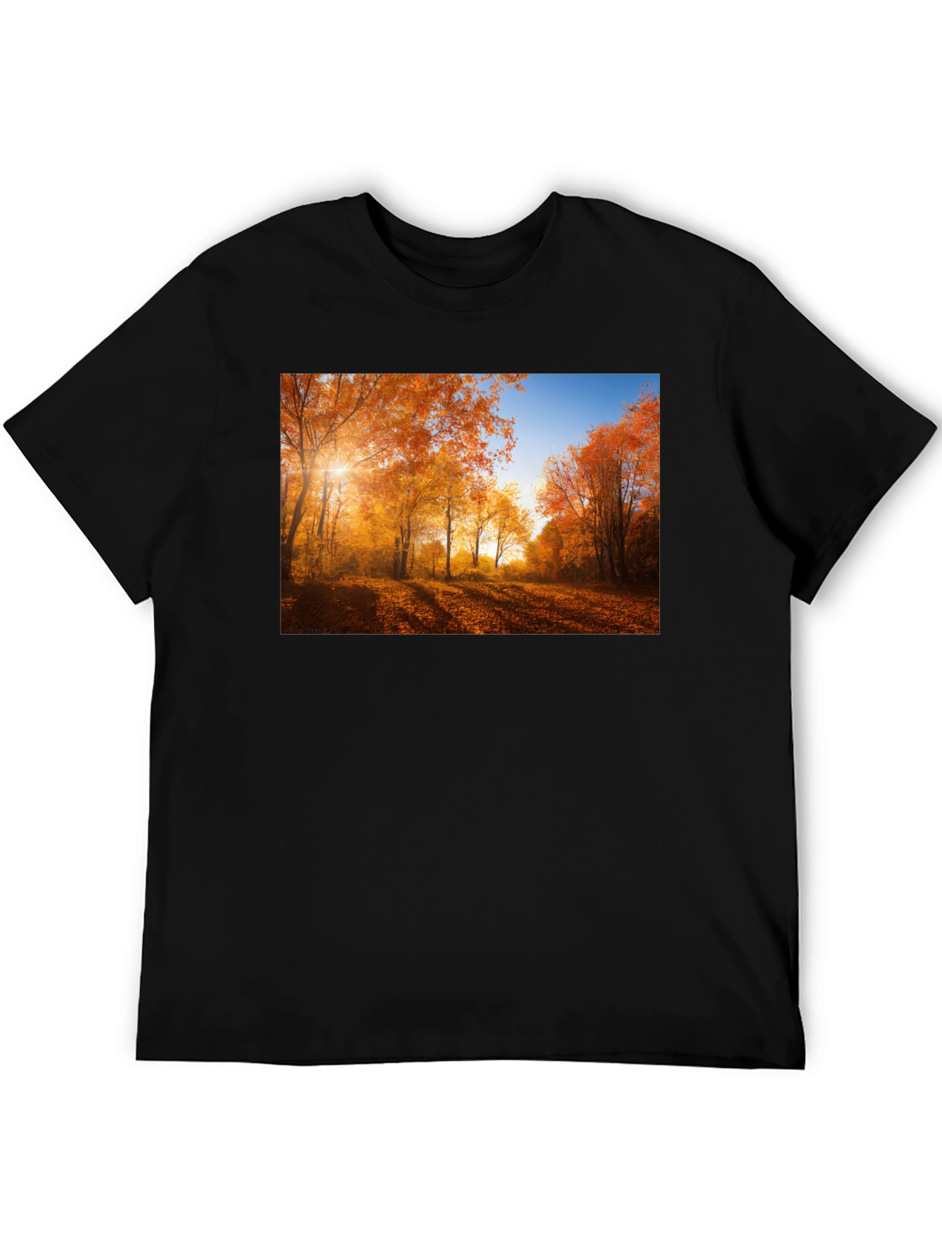 Autumn Forest Graphic T-Shirt - Nature Inspired Tee