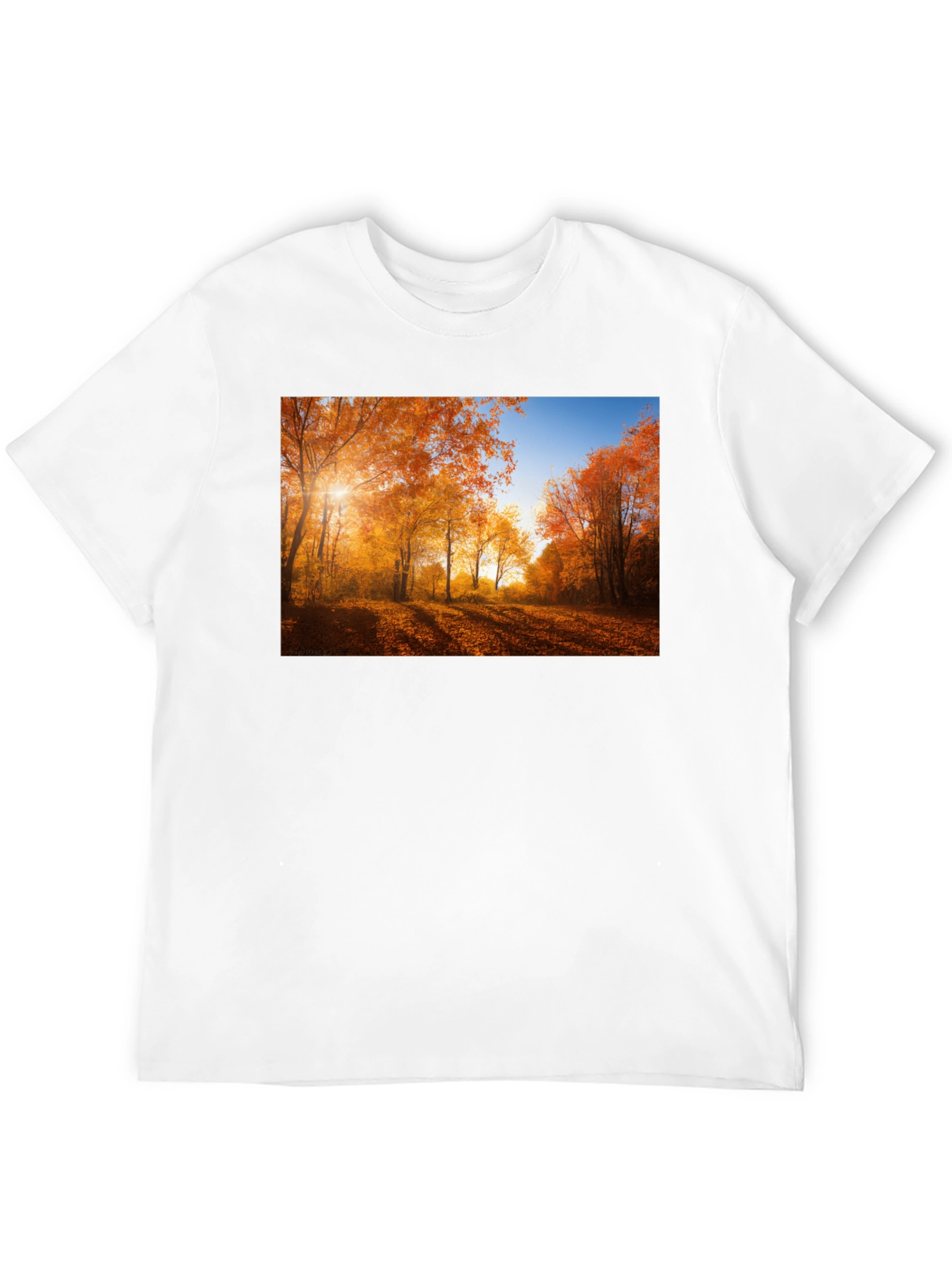Autumn Forest Graphic T-Shirt - Nature Inspired Tee