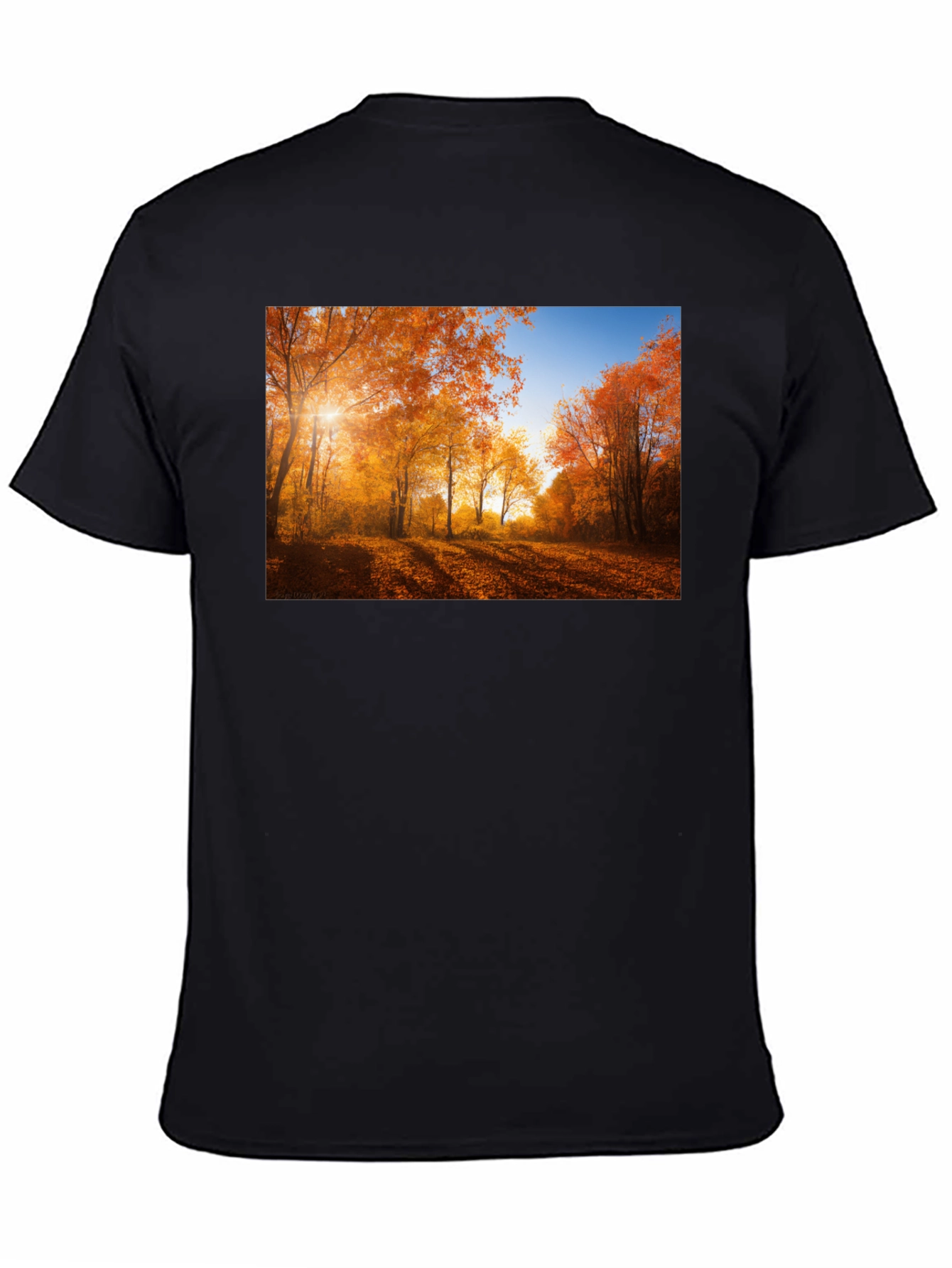 Autumn Forest Graphic T-Shirt - Nature Inspired Tee