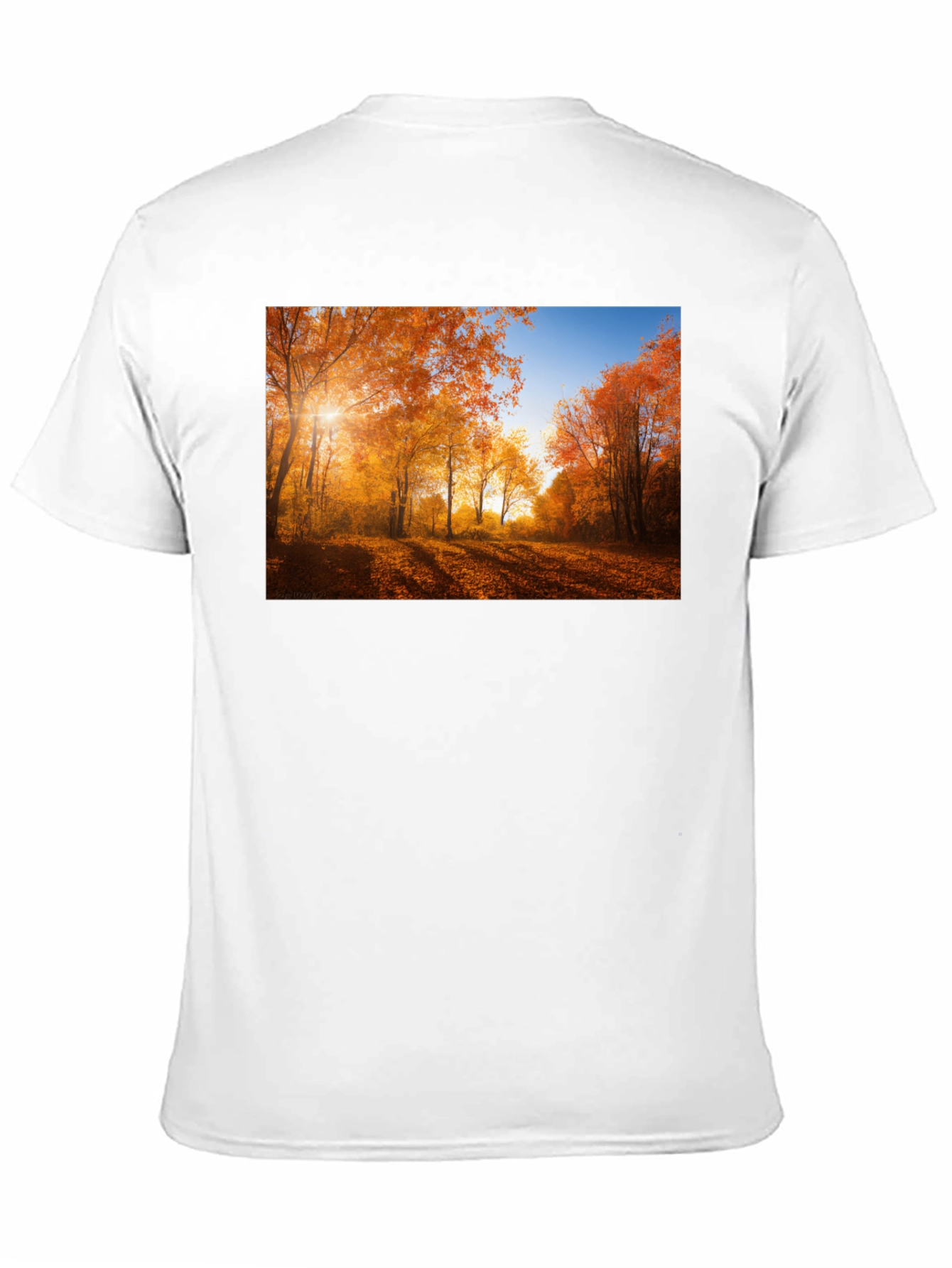 Autumn Forest Graphic T-Shirt - Nature Inspired Tee