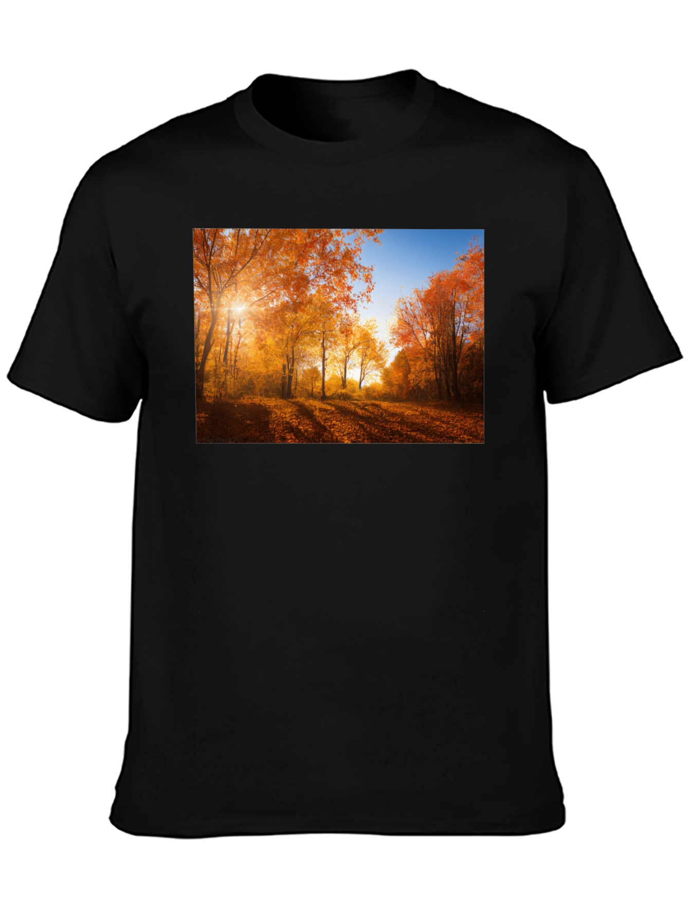 Autumn Forest Graphic T-Shirt - Nature Inspired Tee