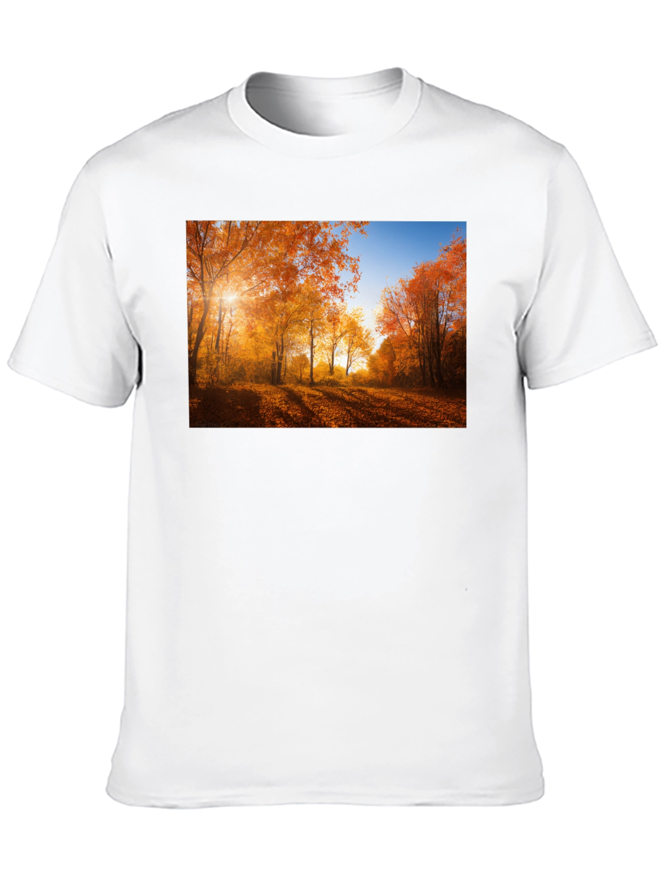 Autumn Forest Graphic T-Shirt - Nature Inspired Tee