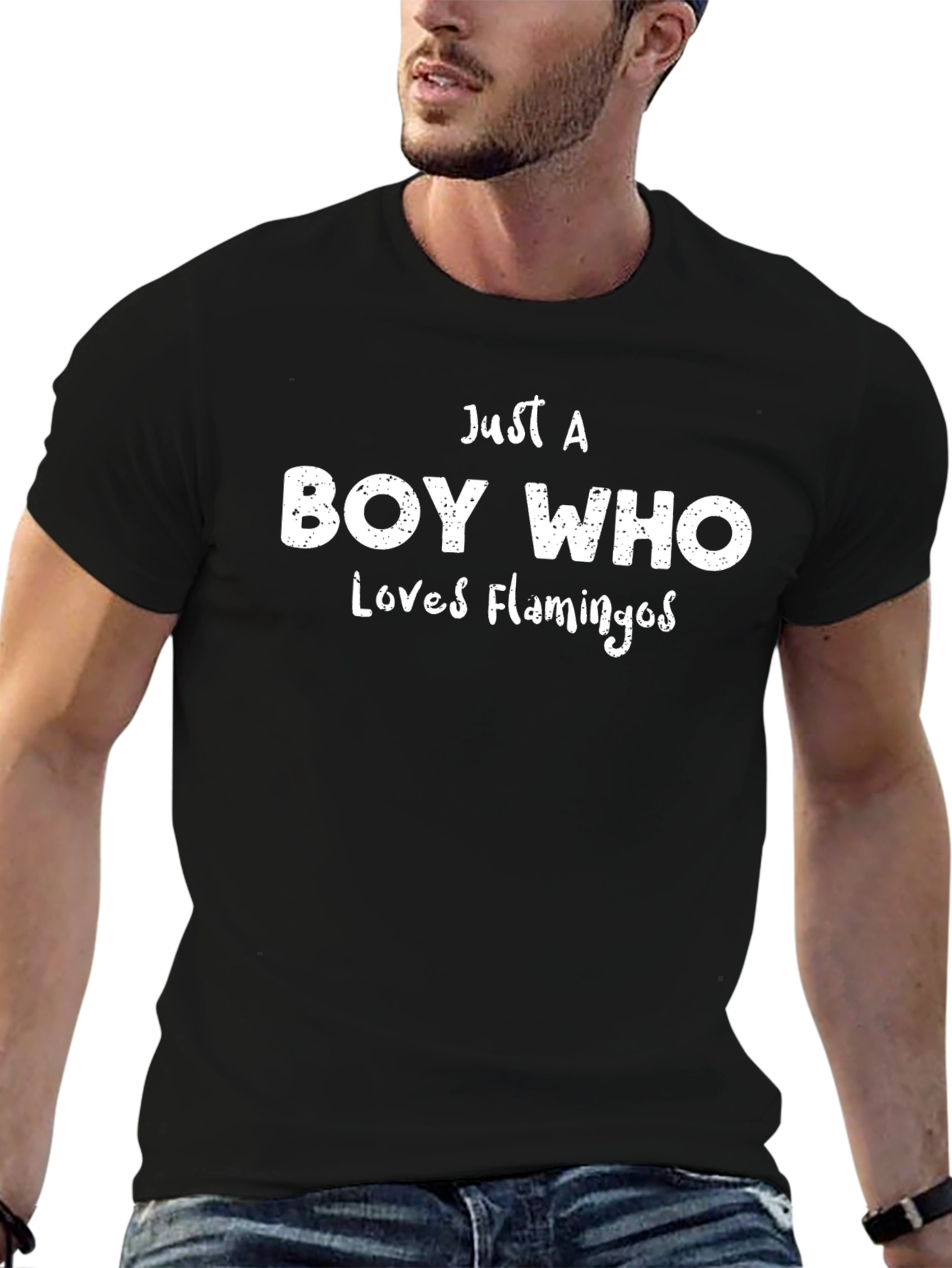 Boy Who Loves Flamingos Black T-Shirt