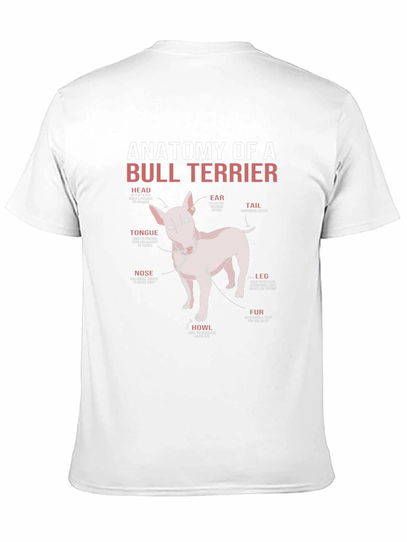 Anatomy of a Bull Terrier T-Shirt