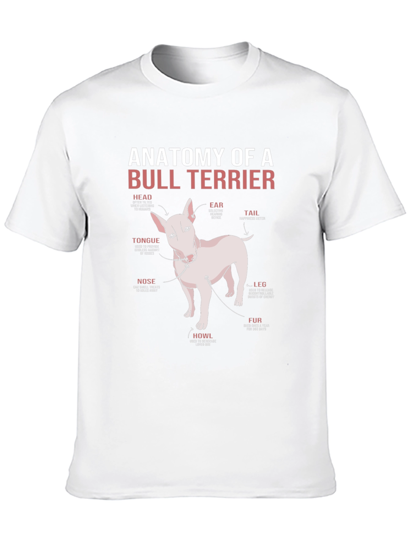 Anatomy of a Bull Terrier T-Shirt