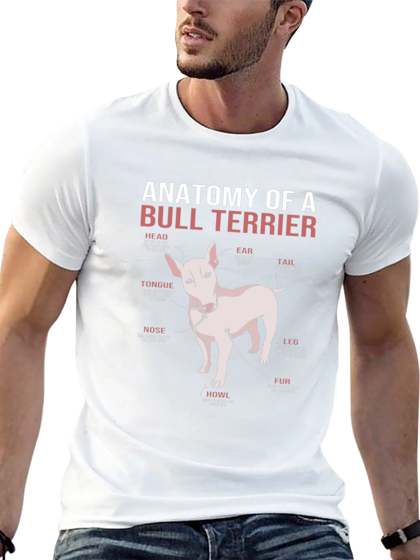 Anatomy of a Bull Terrier T-Shirt
