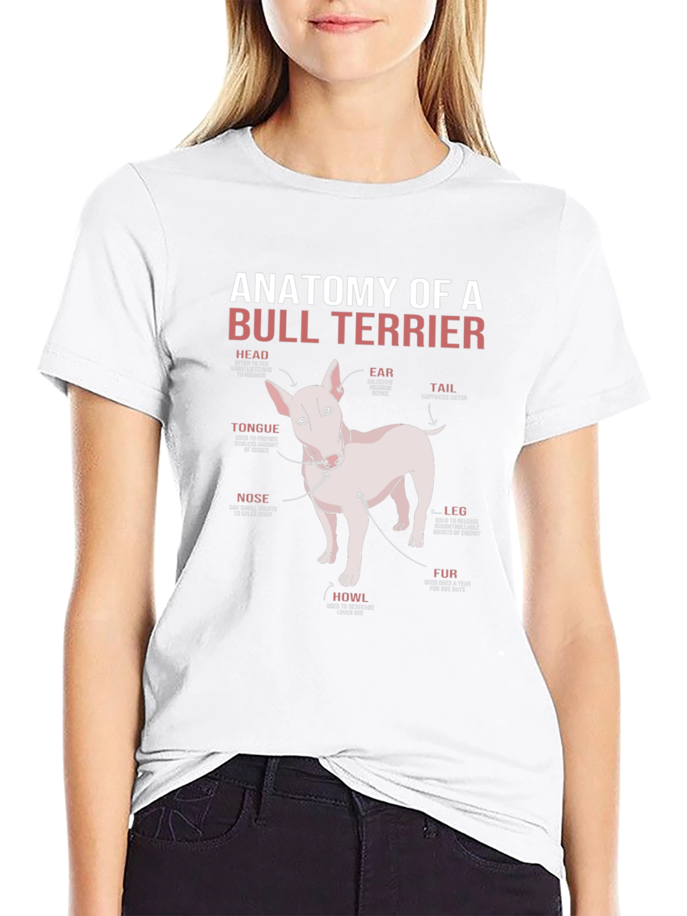 Anatomy of a Bull Terrier T-Shirt
