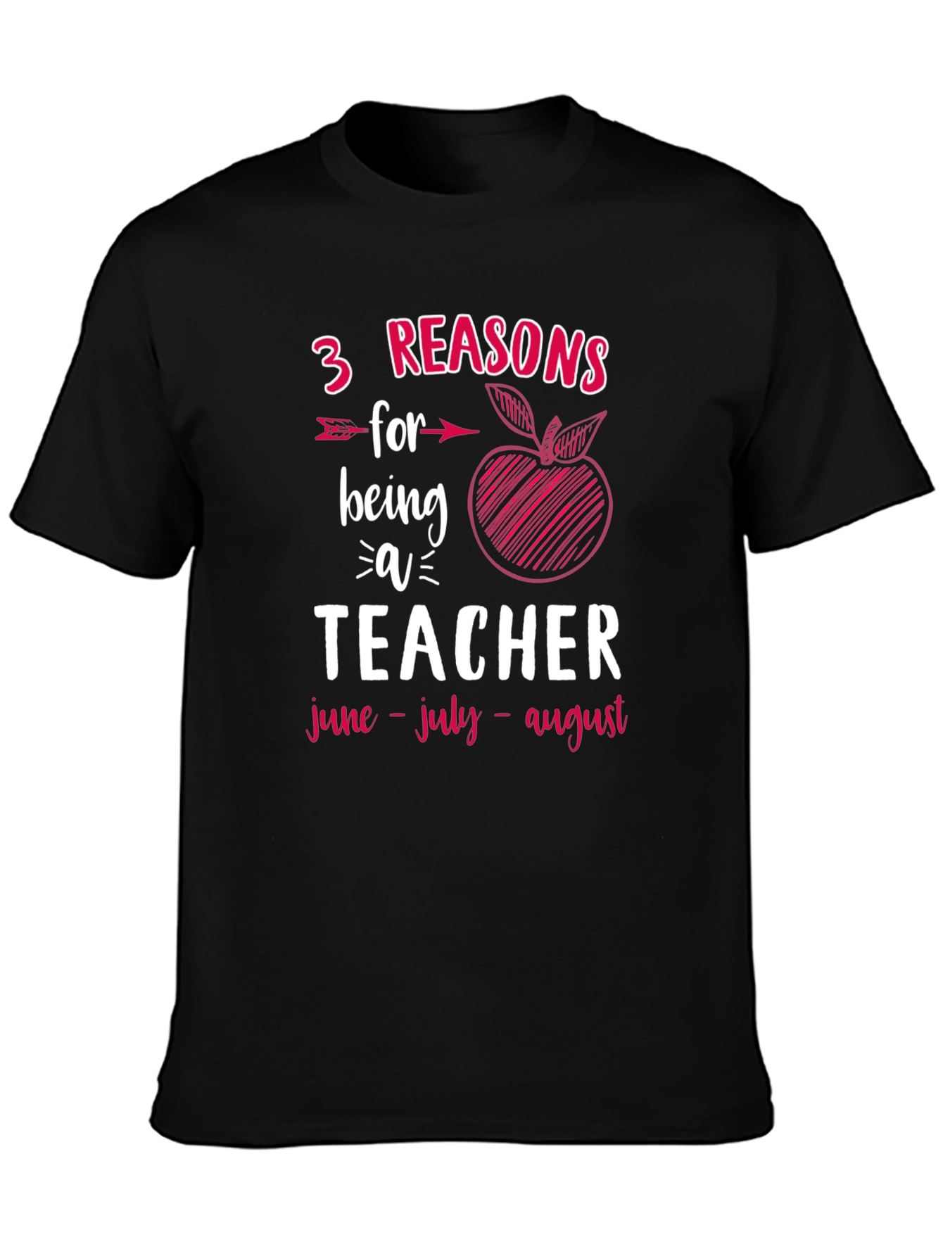 3 Reasons for Being a Teacher T-Shirt