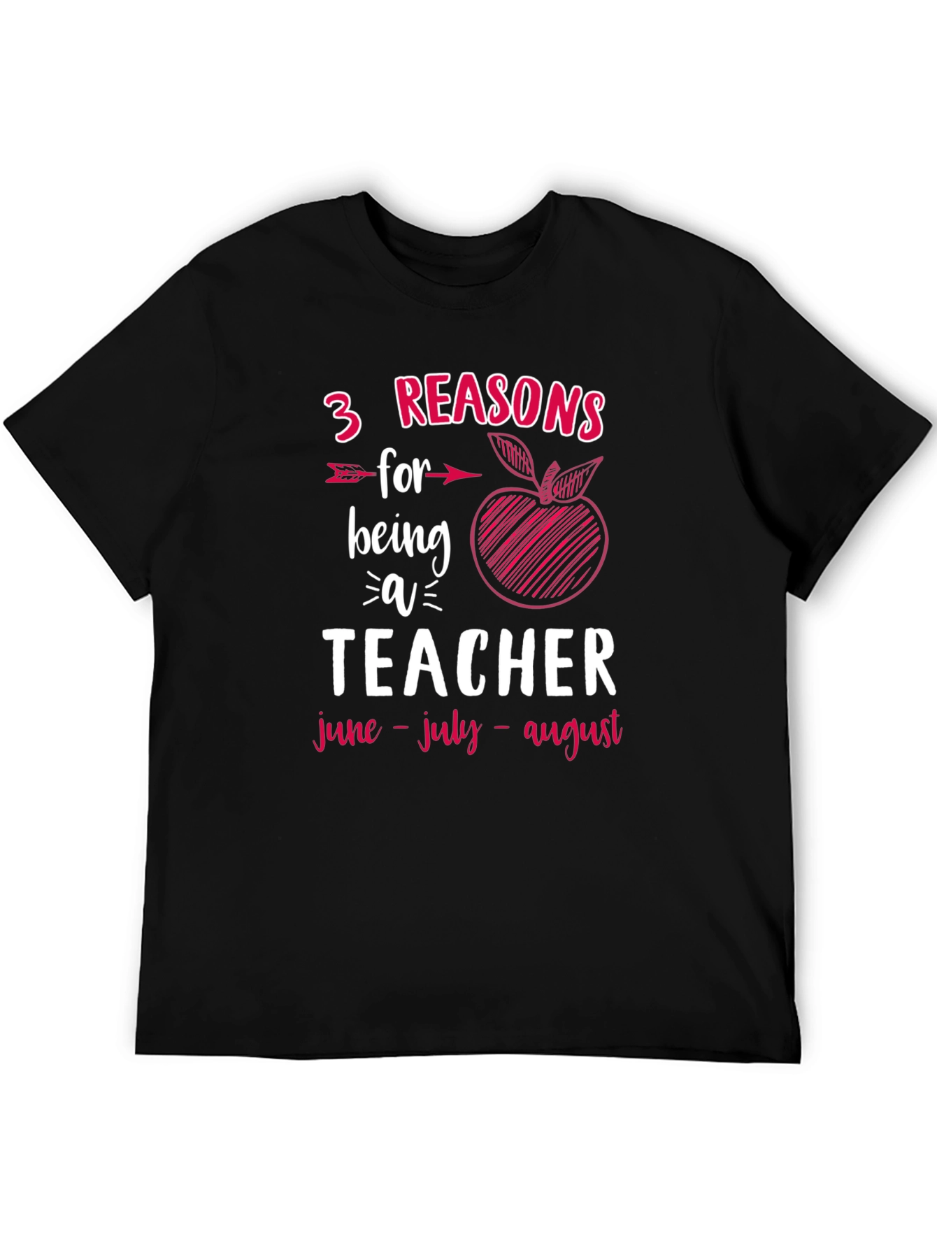 3 Reasons for Being a Teacher T-Shirt