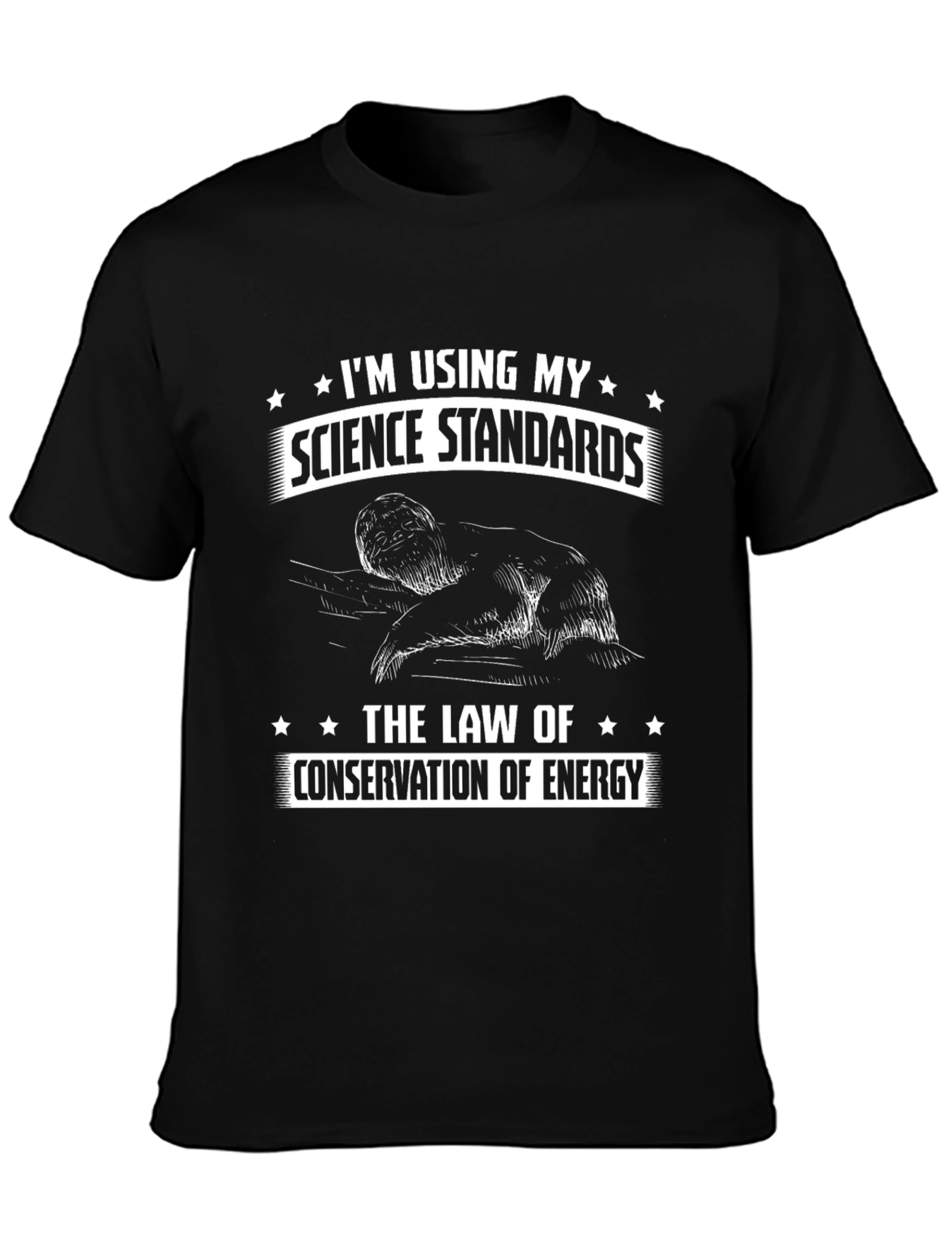 Funny Science Standards Law of Energy T-Shirt