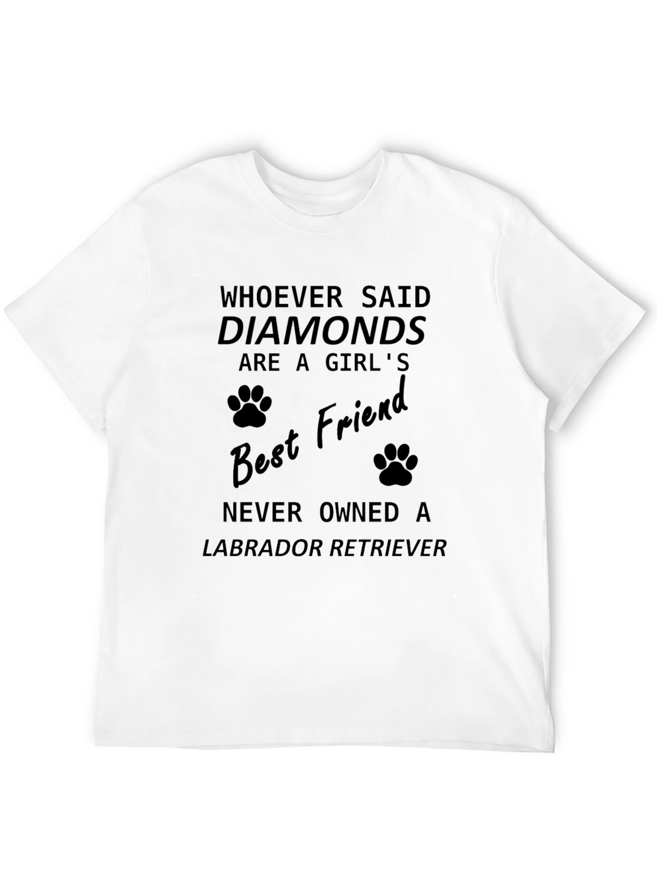 Labrador Retriever Best Friend Graphic Tee