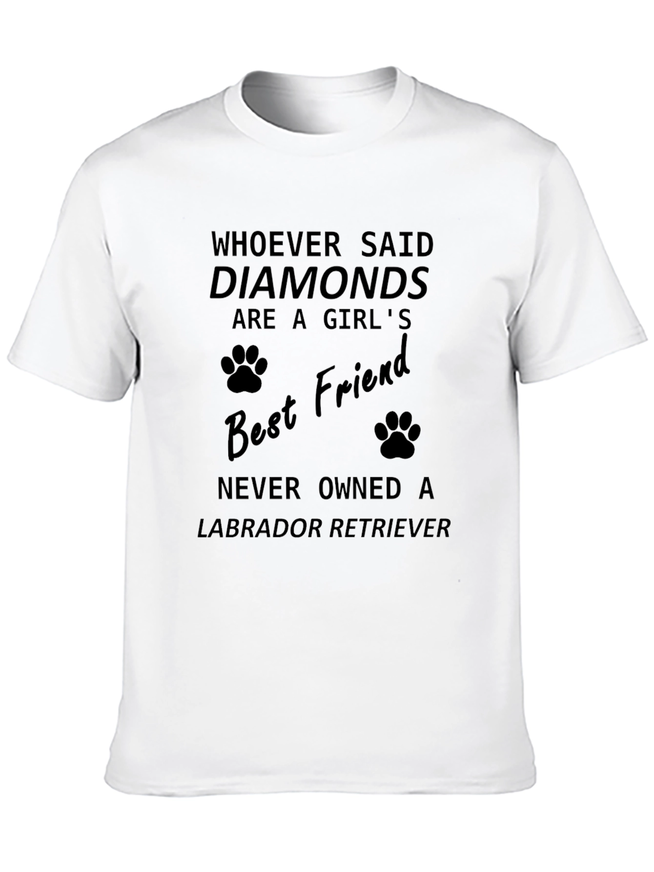 Labrador Retriever Best Friend Graphic Tee
