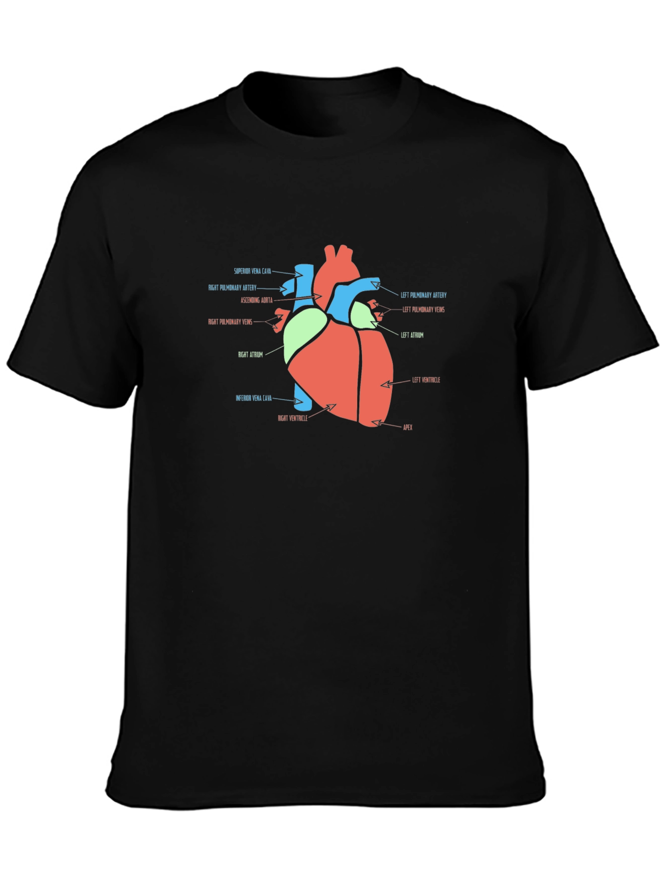 Anatomy Heart T-Shirt - Medical Science Tee