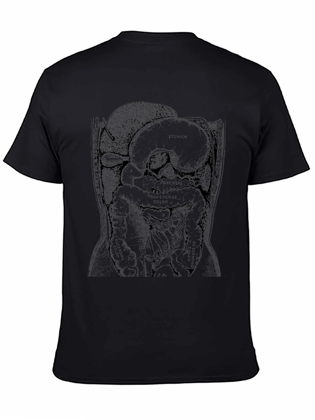 Anatomical Diagram T-Shirt - Black