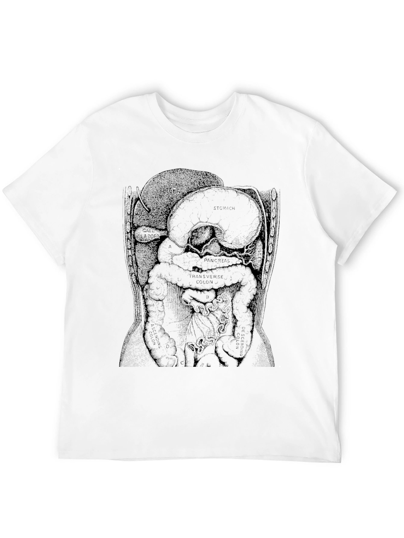 Anatomical Diagram T-Shirt - Black
