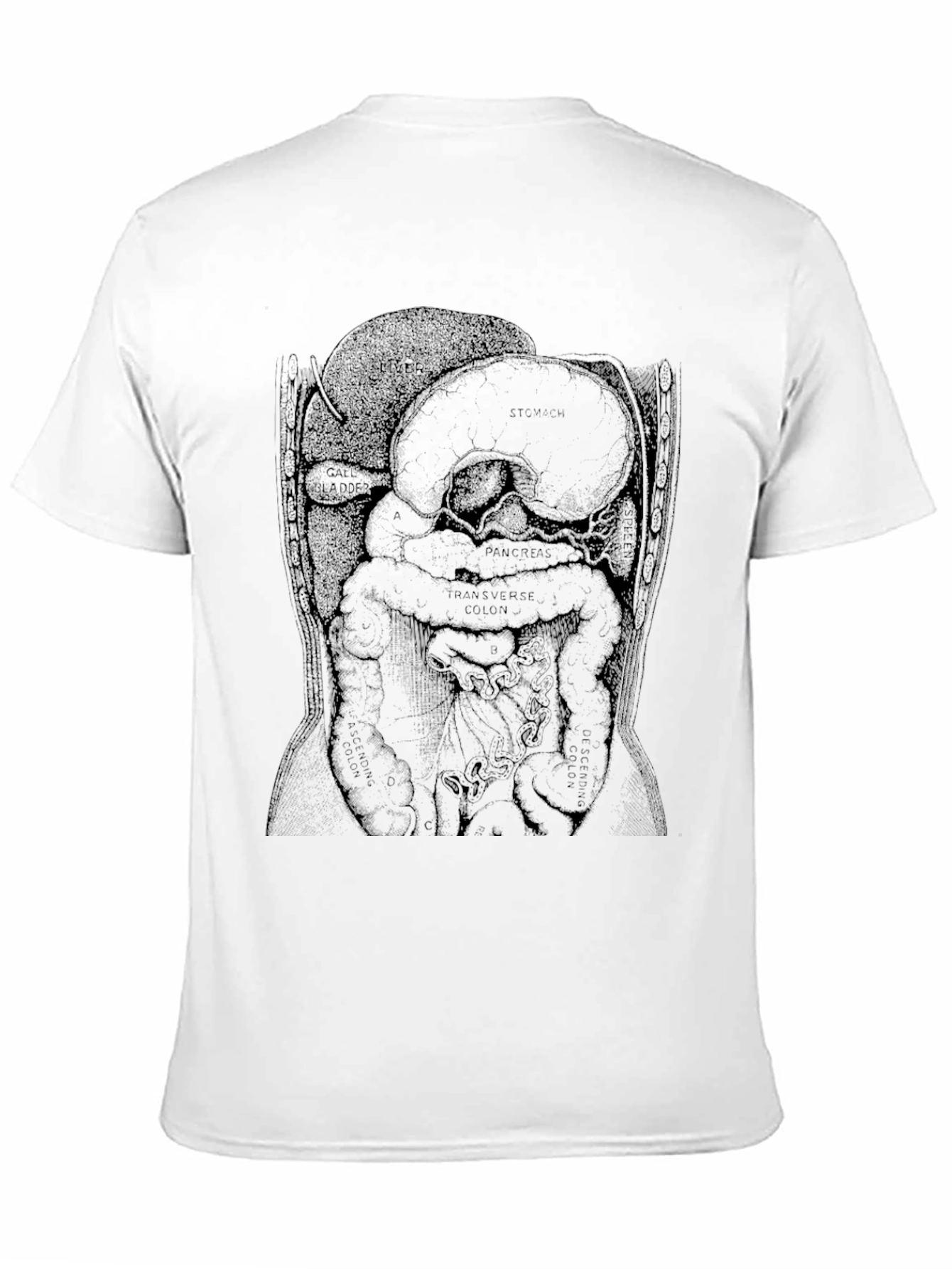 Anatomical Diagram T-Shirt - Black