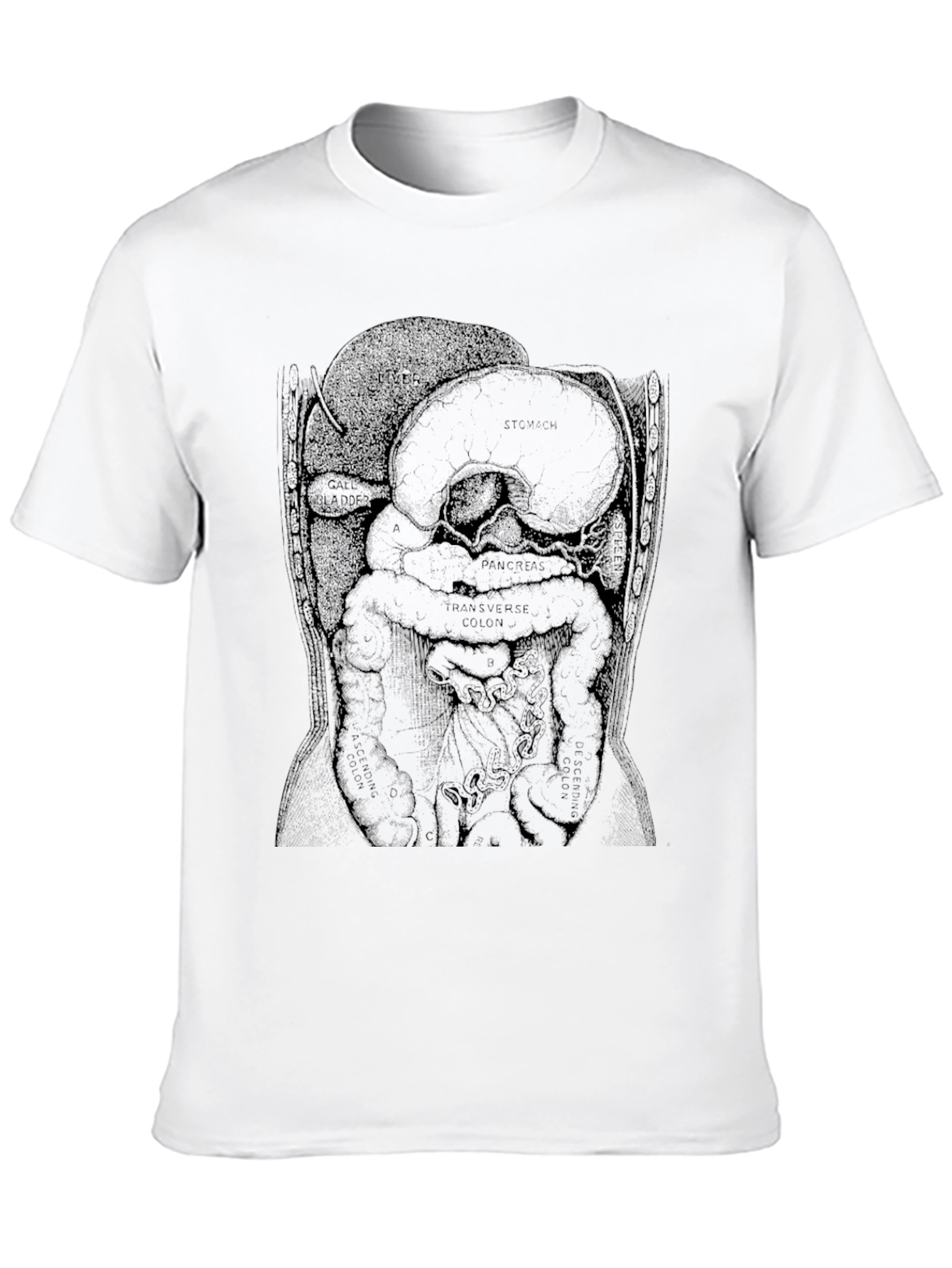 Anatomical Diagram T-Shirt - Black