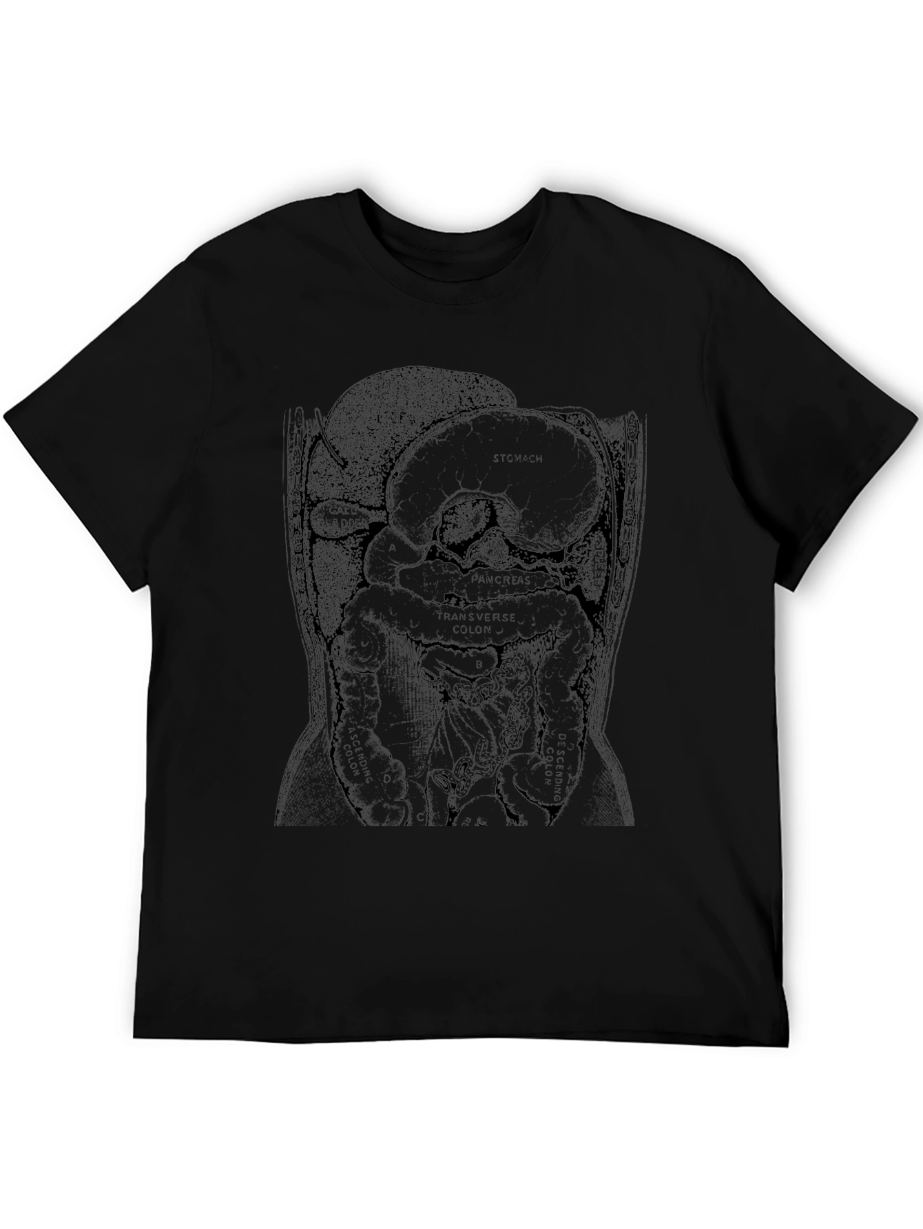 Anatomical Diagram T-Shirt - Black