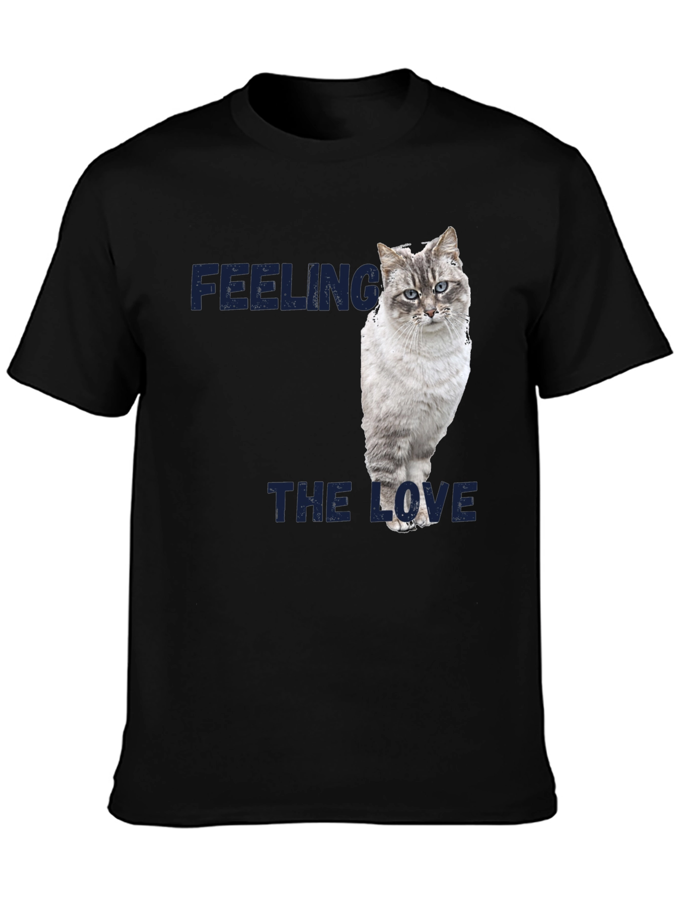 Feeling the Love Cat Graphic T-Shirt