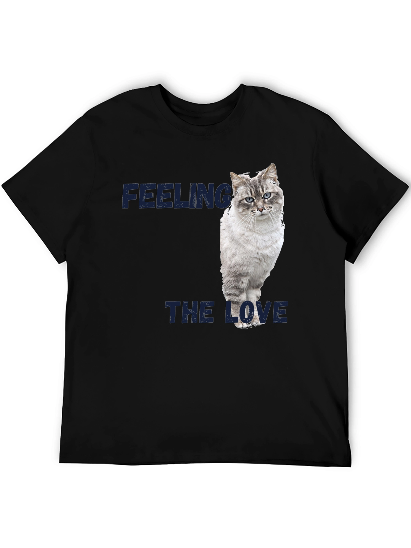 Feeling the Love Cat Graphic T-Shirt