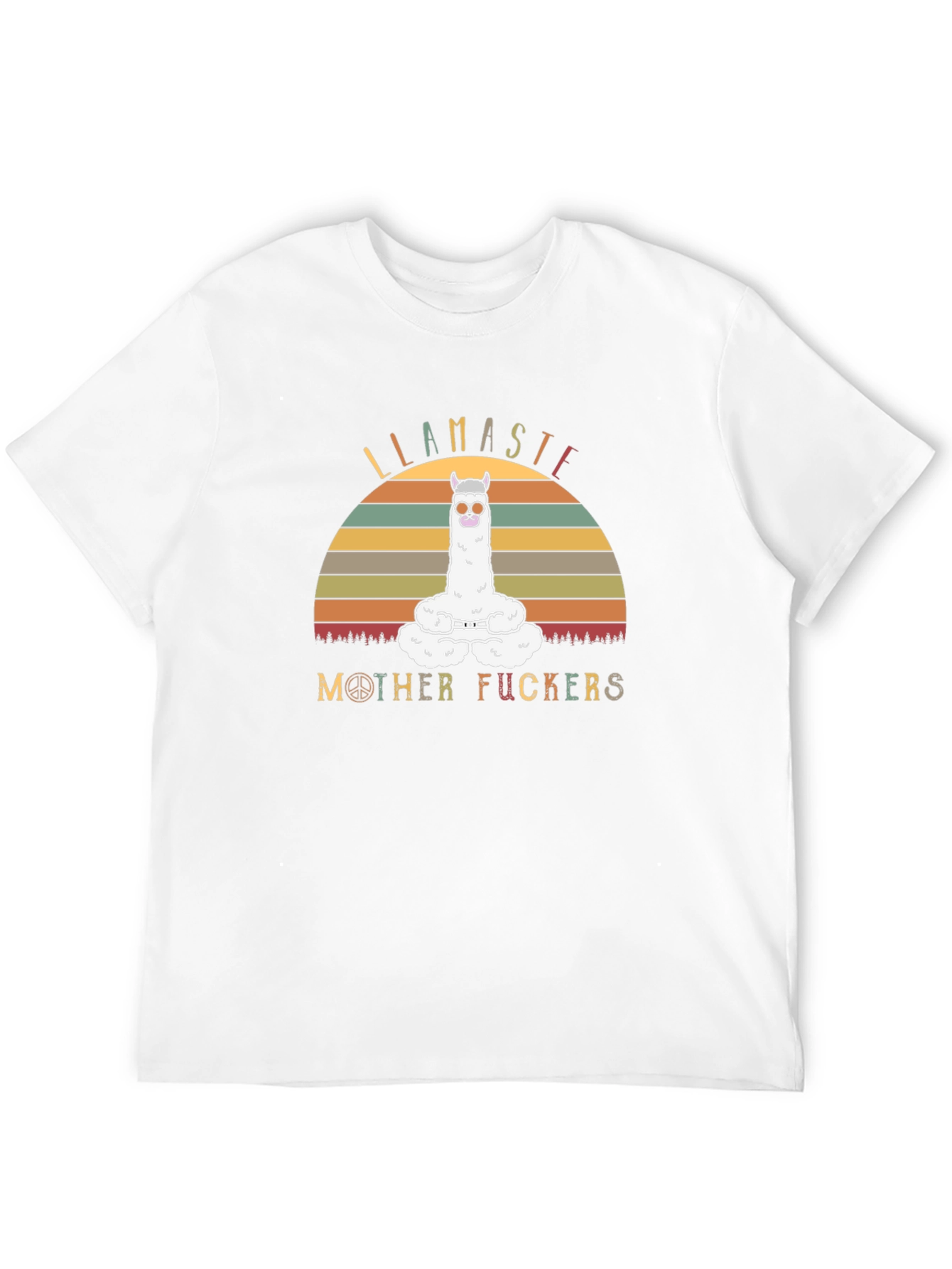 Llamaste Mother Funny T-Shirt