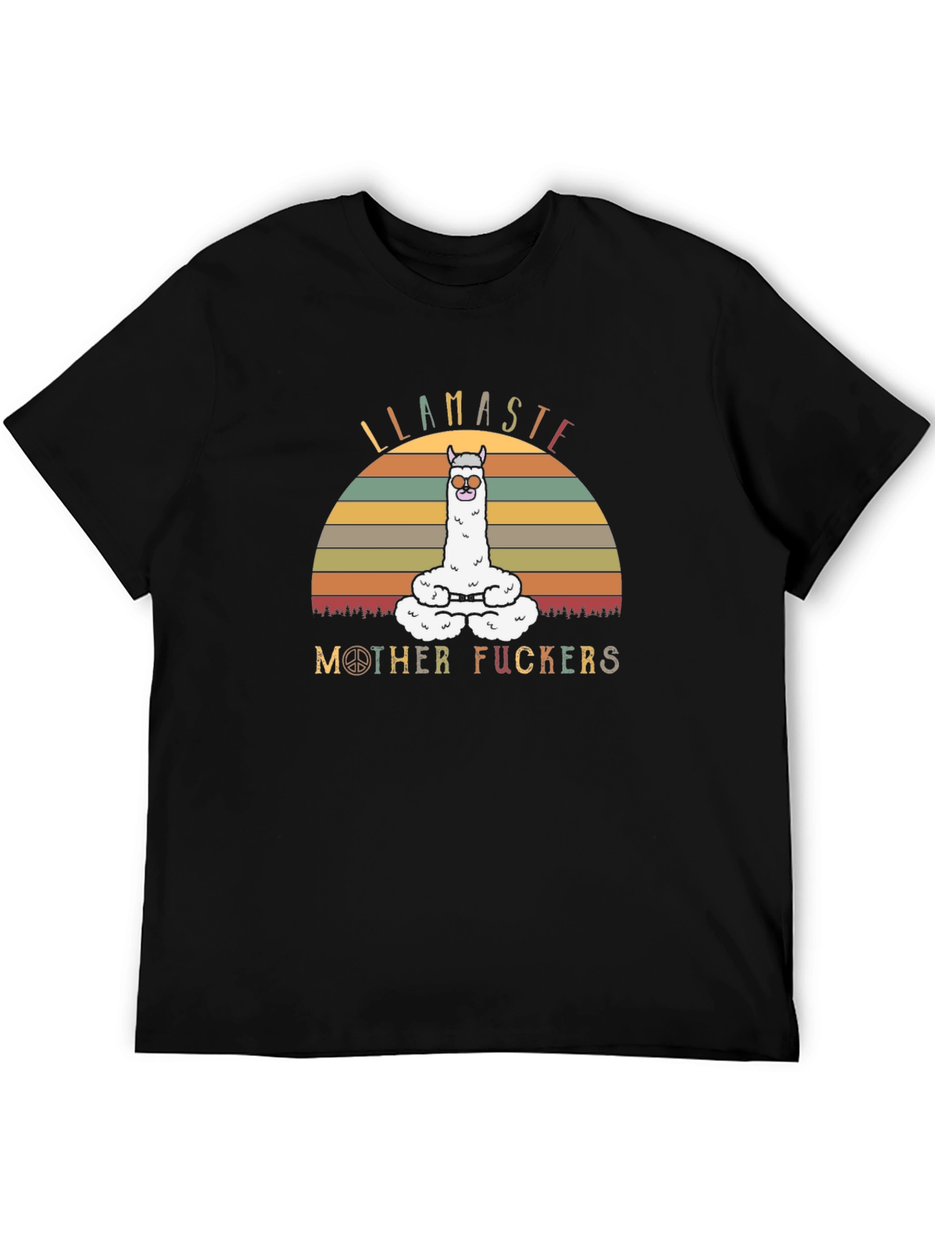 Llamaste Mother Funny T-Shirt