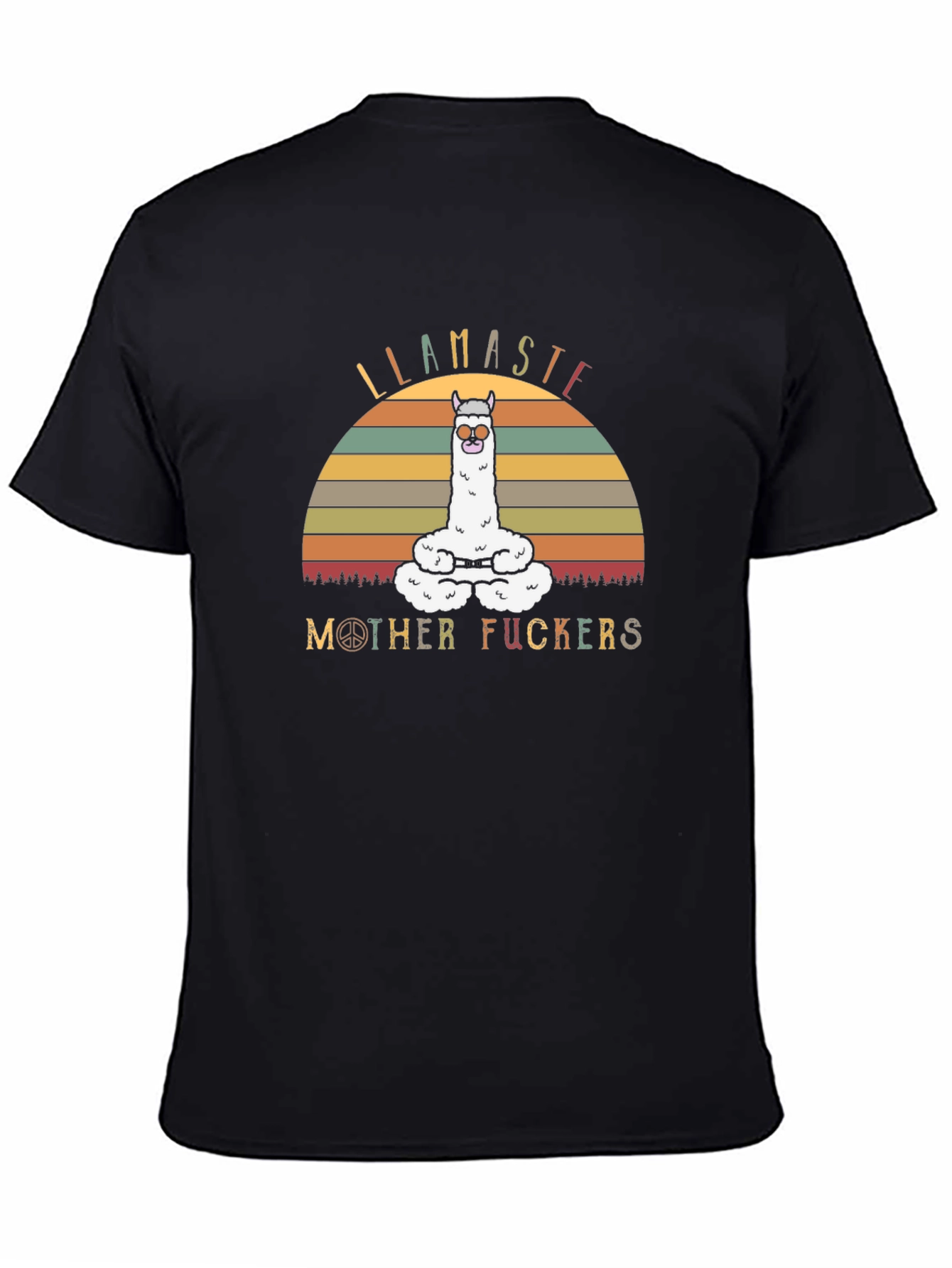 Llamaste Mother Funny T-Shirt