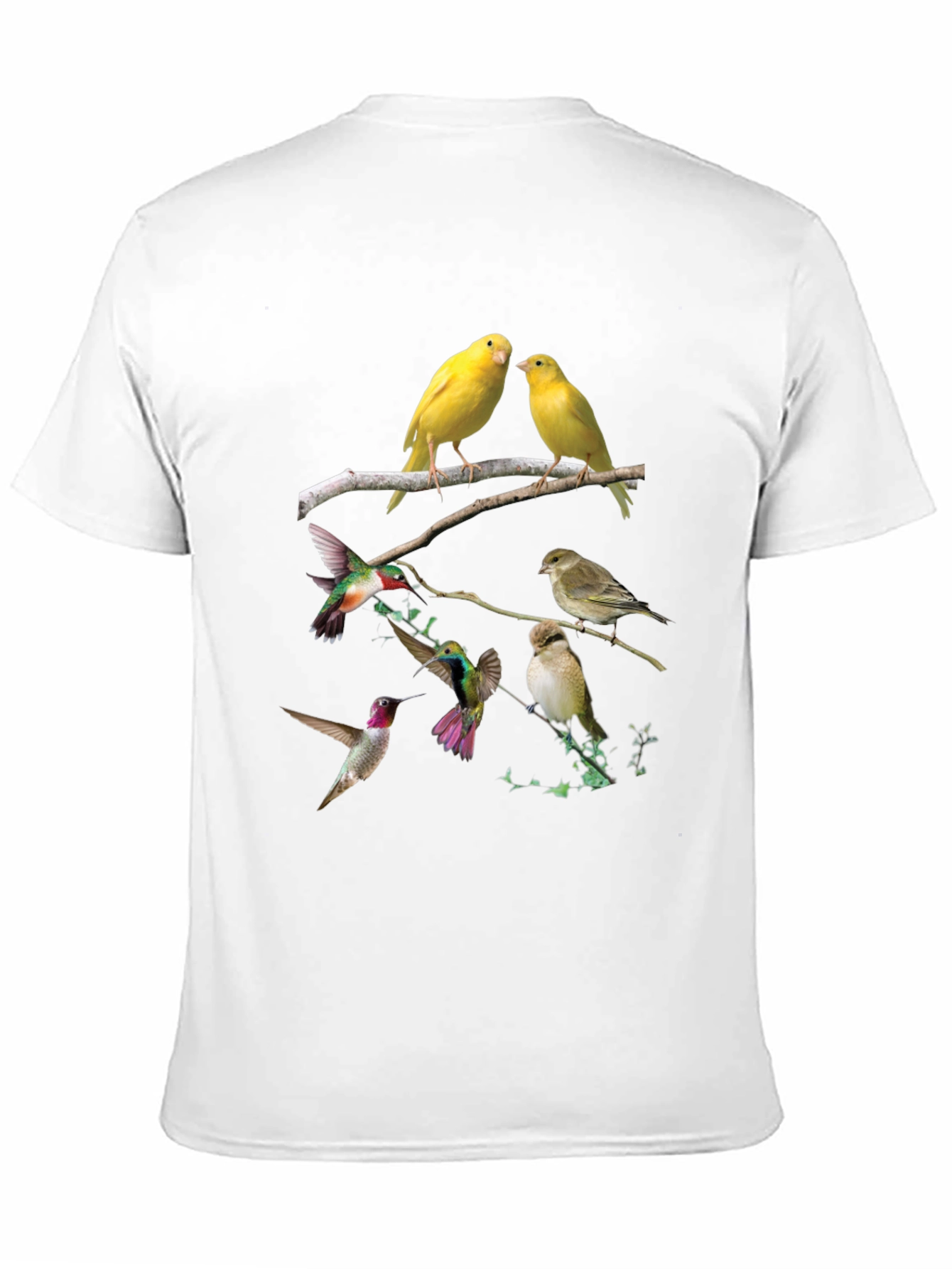 Bird Print Black T-Shirt - Nature Lovers Tee