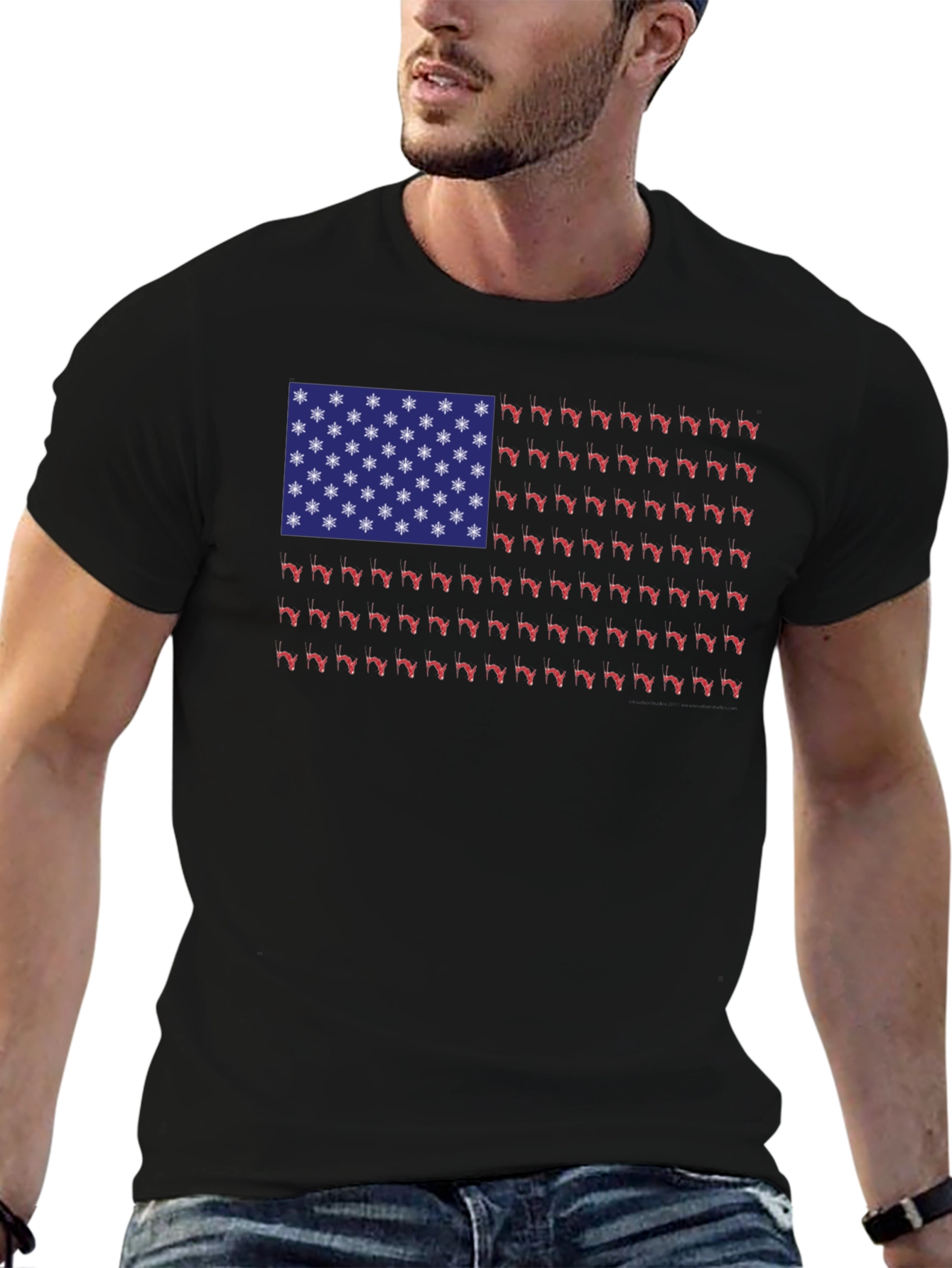 Florida State Flag T-Shirt - Novelty Graphic Tee
