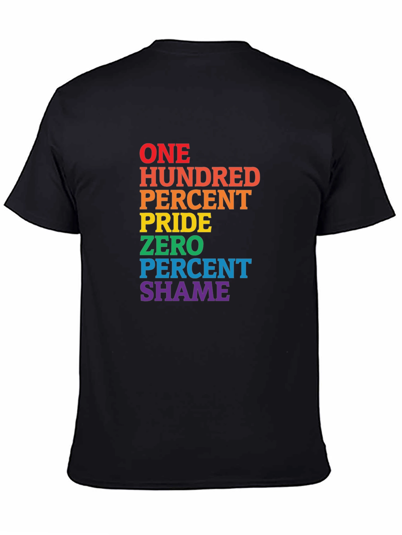 Pride T-Shirt - 100 Percent Pride Zero Percent Shame