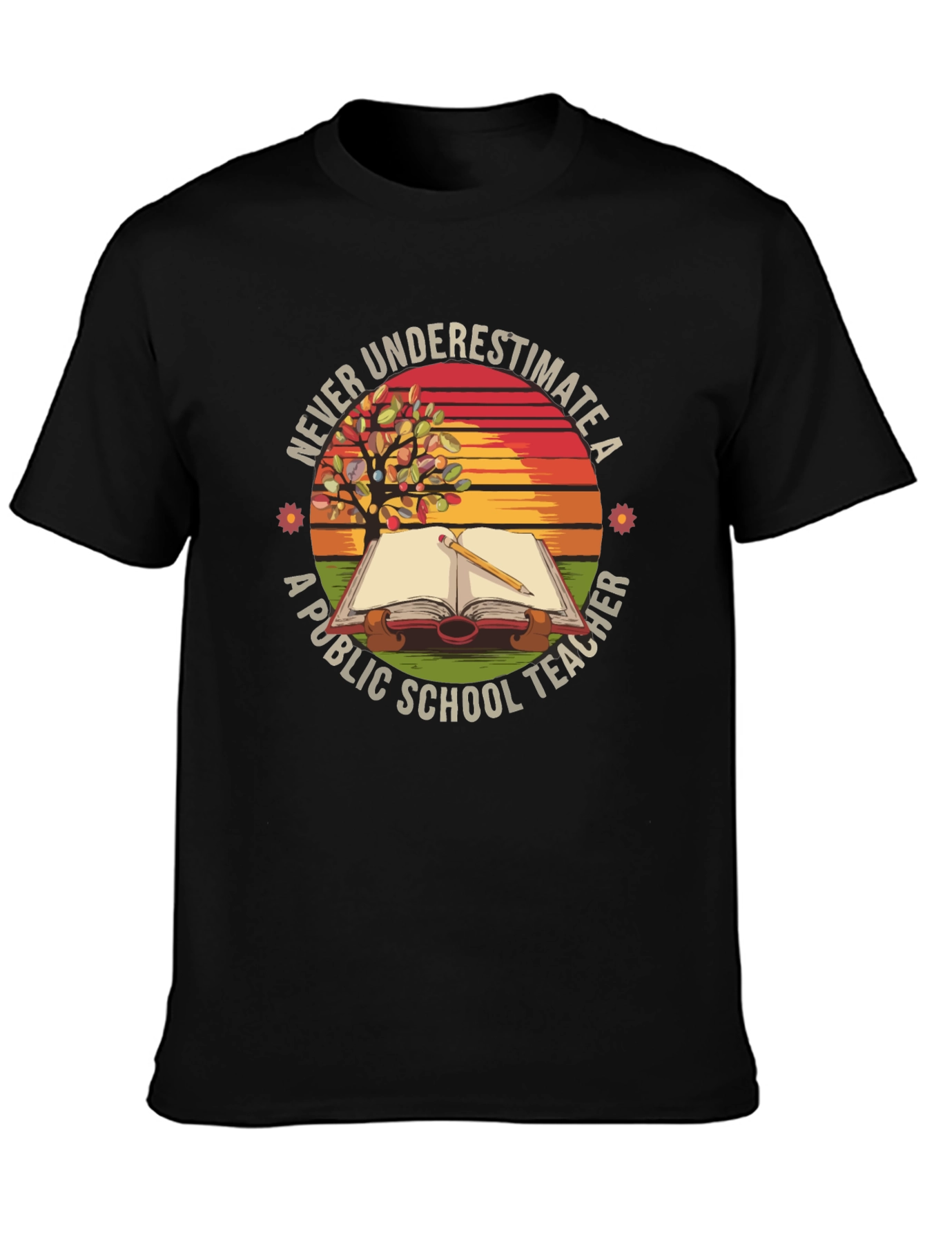 Never Underestimate a Public School Teacher T-Shirt