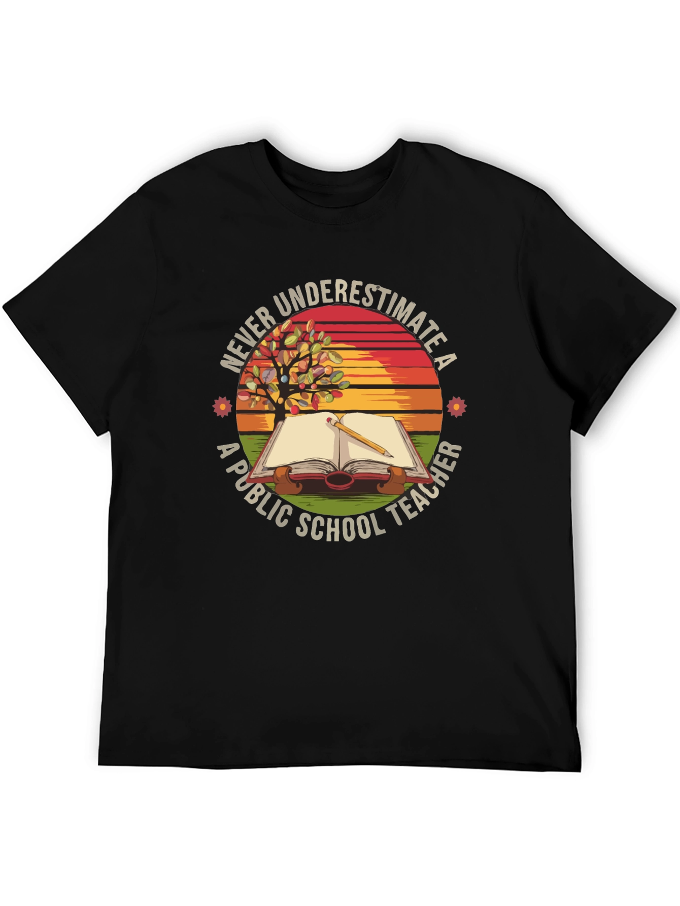 Never Underestimate a Public School Teacher T-Shirt