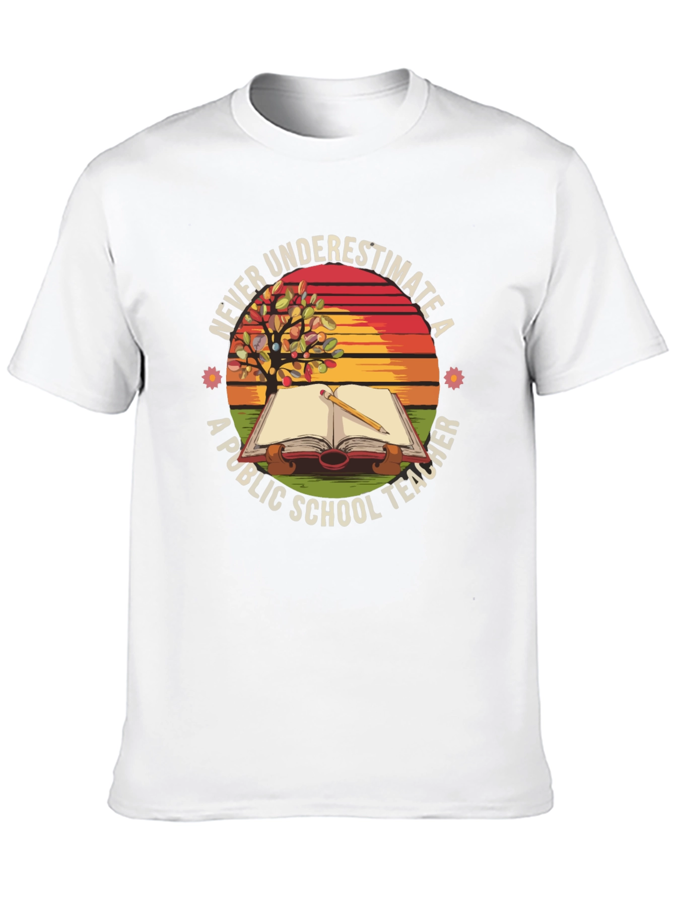 Never Underestimate a Public School Teacher T-Shirt