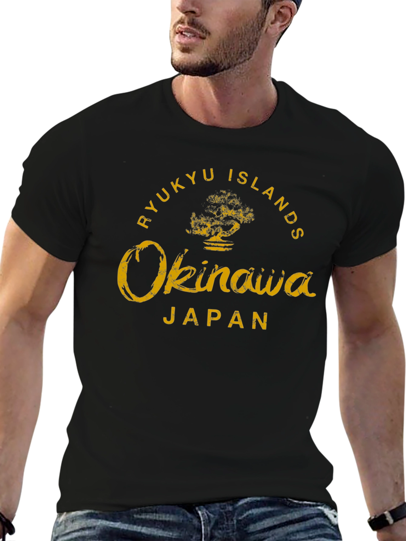 Ryukyu Islands Okinawa Japan T-Shirt